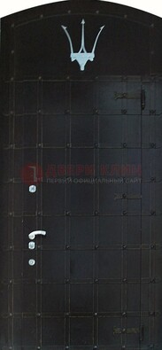 Металлическая арочная дверь ДА-22 высокого качества в Ивантеевке