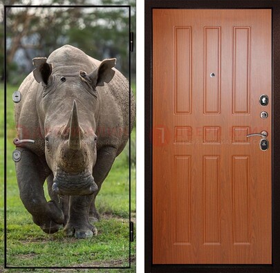 Металлическая дверь с фотопечатью носорога ДФ-31 в Ивантеевке