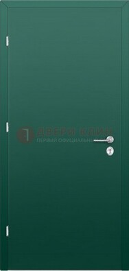 Зеленая стальная дверь с нитроэмалью ДН-6 в Ивантеевке