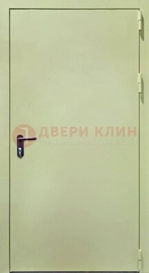 Светлая противопожарная дверь ДПП-22 в Ивантеевке