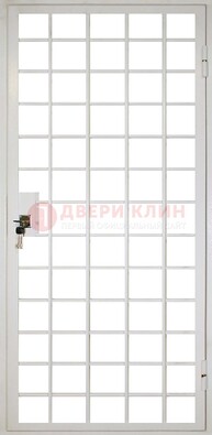 Белая металлическая решетчатая дверь ДР-2 в Ивантеевке