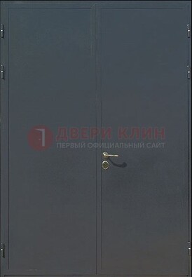 Двухстворчатая техническая дверь ДТ-5 в Ивантеевке